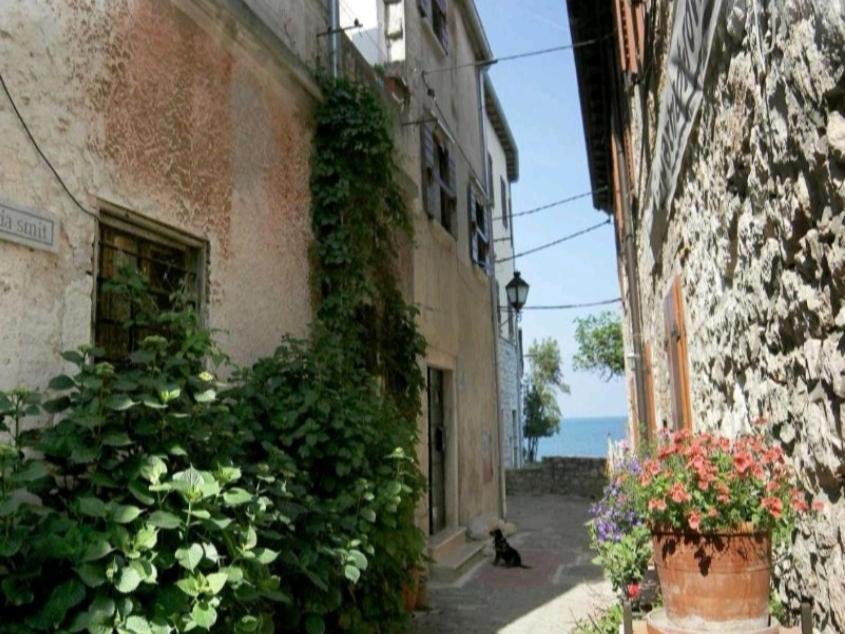 Apartment Martin - 10 Mt To The Beach Ρόβινι Εξωτερικό φωτογραφία